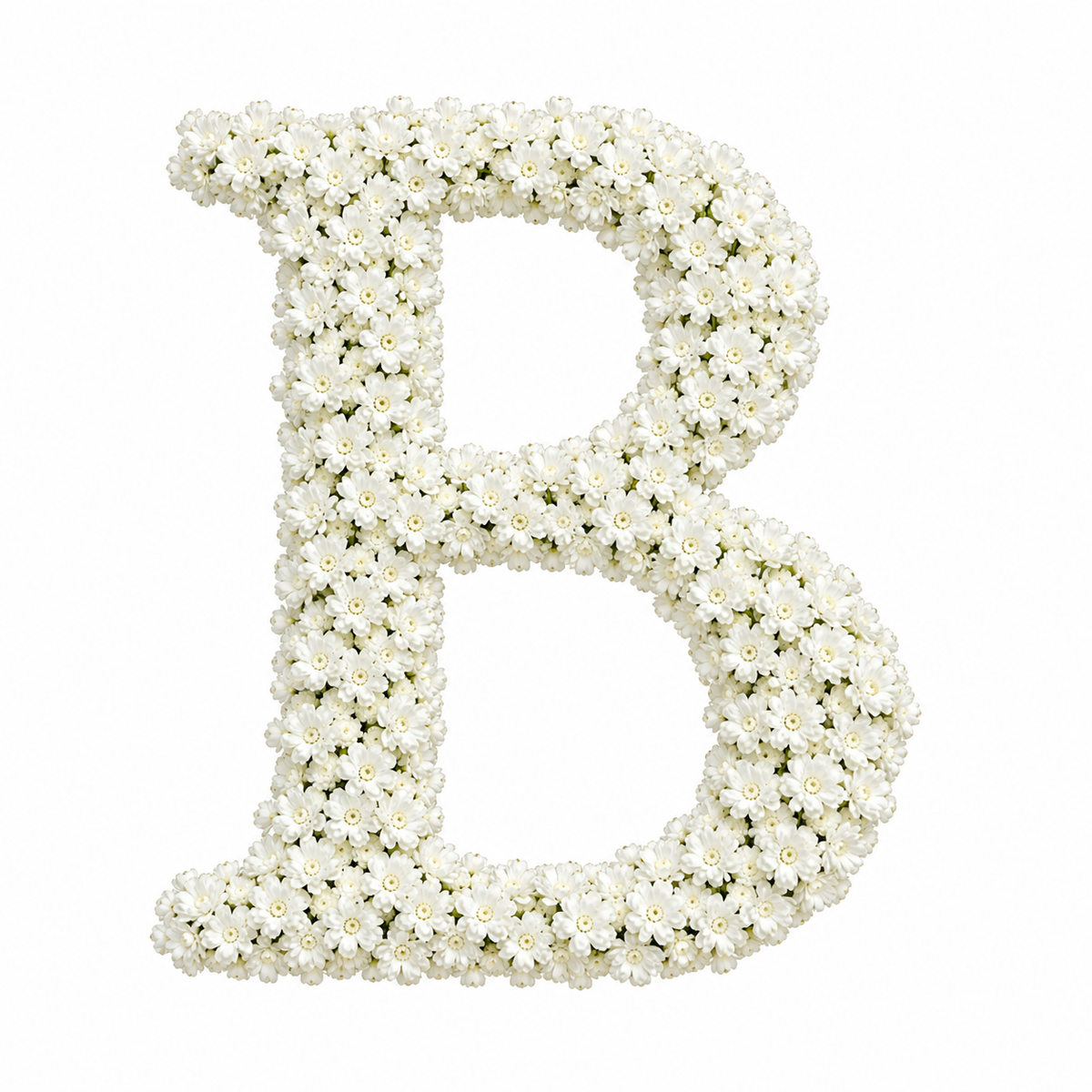 Baby’s Breath Initial Add-on