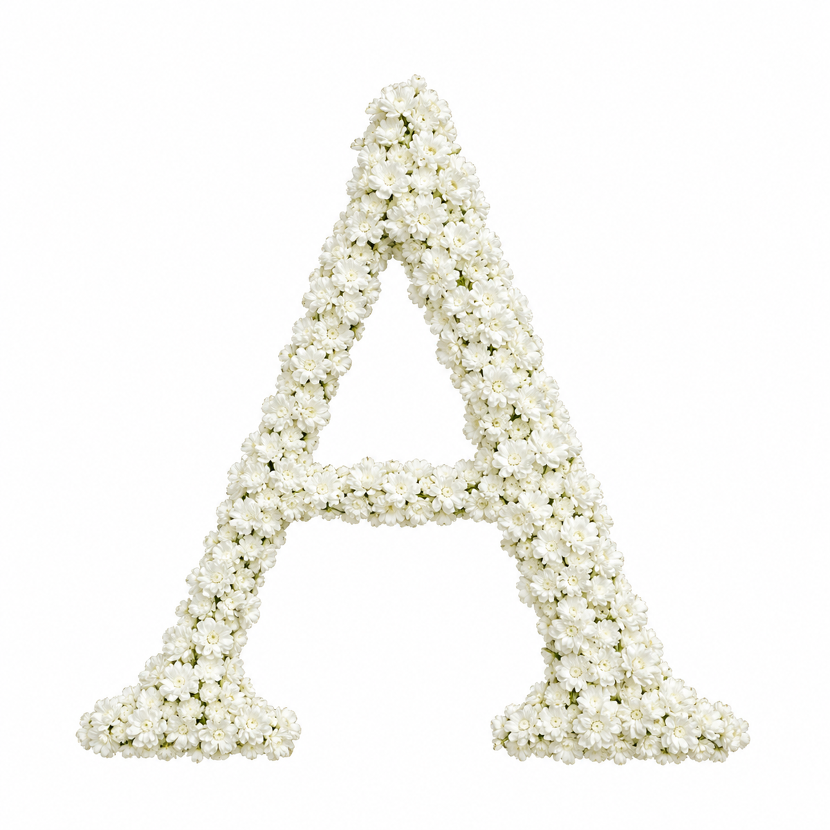 Baby’s Breath Initial Add-on