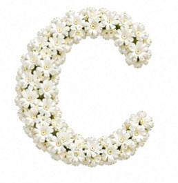 Baby’s Breath Initial Add-on