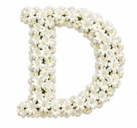 Baby’s Breath Initial Add-on