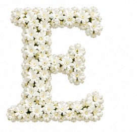Baby’s Breath Initial Add-on