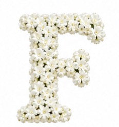 Baby’s Breath Initial Add-on