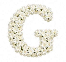Baby’s Breath Initial Add-on