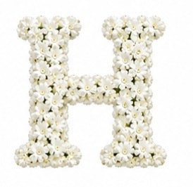 Baby’s Breath Initial Add-on