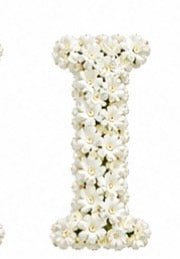 Baby’s Breath Initial Add-on