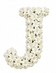Baby’s Breath Initial Add-on