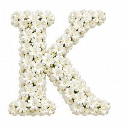 Baby’s Breath Initial Add-on