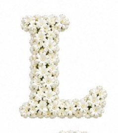 Baby’s Breath Initial Add-on