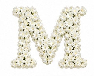 Baby’s Breath Initial Add-on