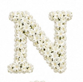 Baby’s Breath Initial Add-on