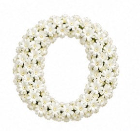 Baby’s Breath Initial Add-on
