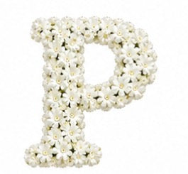Baby’s Breath Initial Add-on