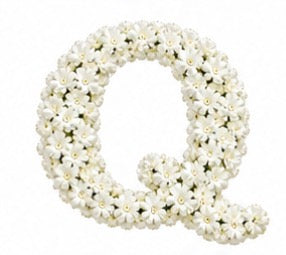 Baby’s Breath Initial Add-on