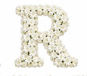Baby’s Breath Initial Add-on