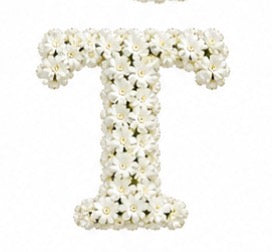 Baby’s Breath Initial Add-on