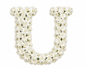 Baby’s Breath Initial Add-on