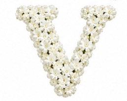 Baby’s Breath Initial Add-on