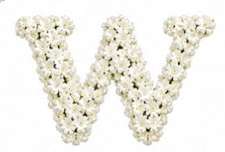Baby’s Breath Initial Add-on