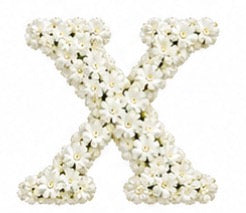 Baby’s Breath Initial Add-on