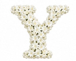 Baby’s Breath Initial Add-on