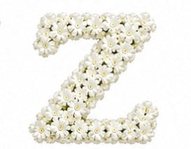 Baby’s Breath Initial Add-on