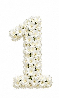 Baby’s Breath Number Add-on