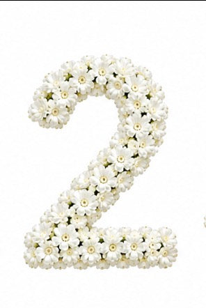 Baby’s Breath Number Add-on