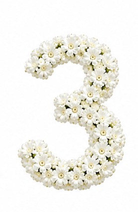 Baby’s Breath Number Add-on
