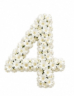 Baby’s Breath Number Add-on