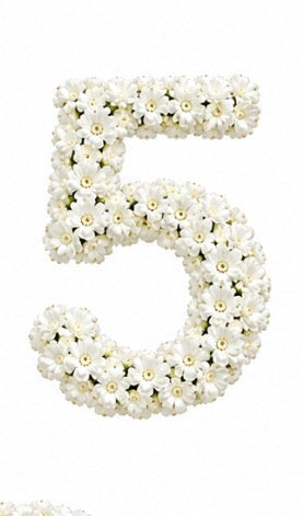 Baby’s Breath Number Add-on