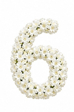Baby’s Breath Number Add-on