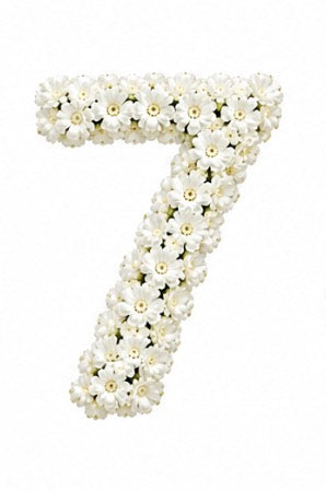 Baby’s Breath Number Add-on