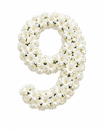 Baby’s Breath Number Add-on